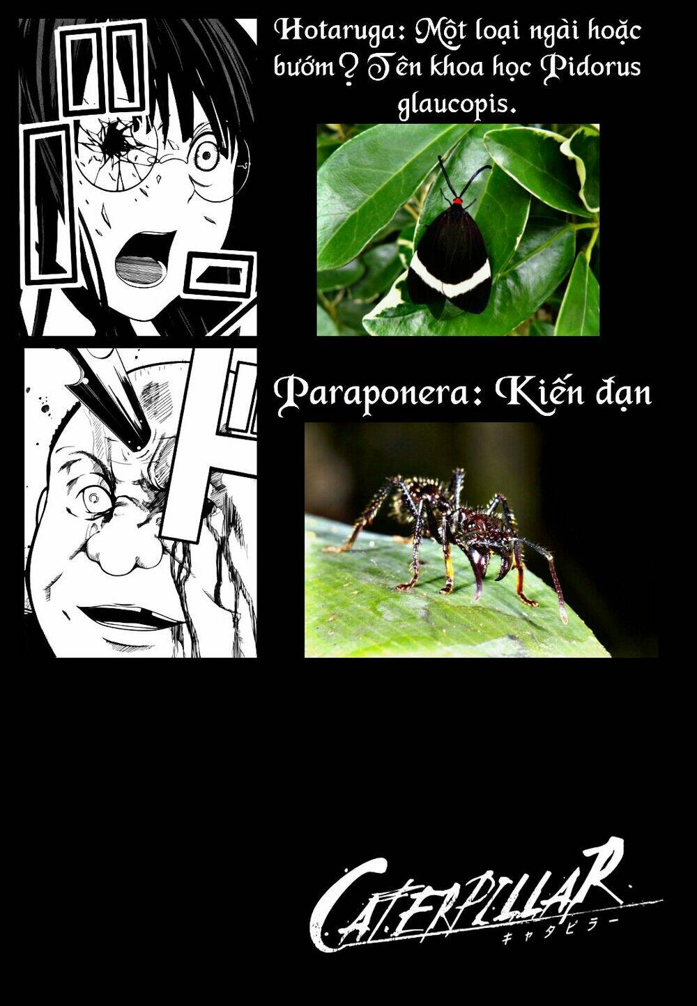 Caterpillar Chương 6 Ảnh 4