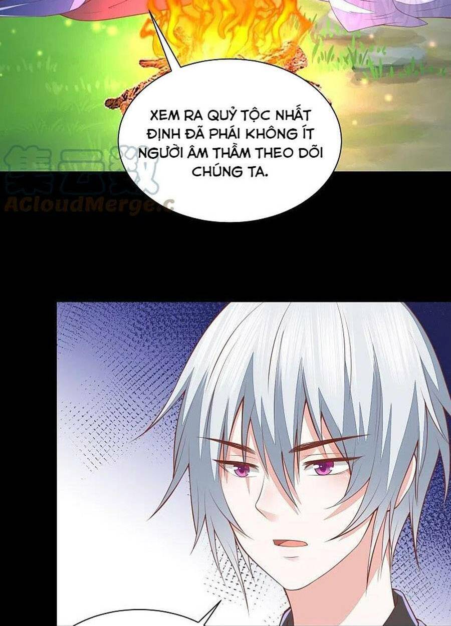Phượng Hoàng Thác: Chuyên Sủng Khí Thê Chương 255 Ảnh 30