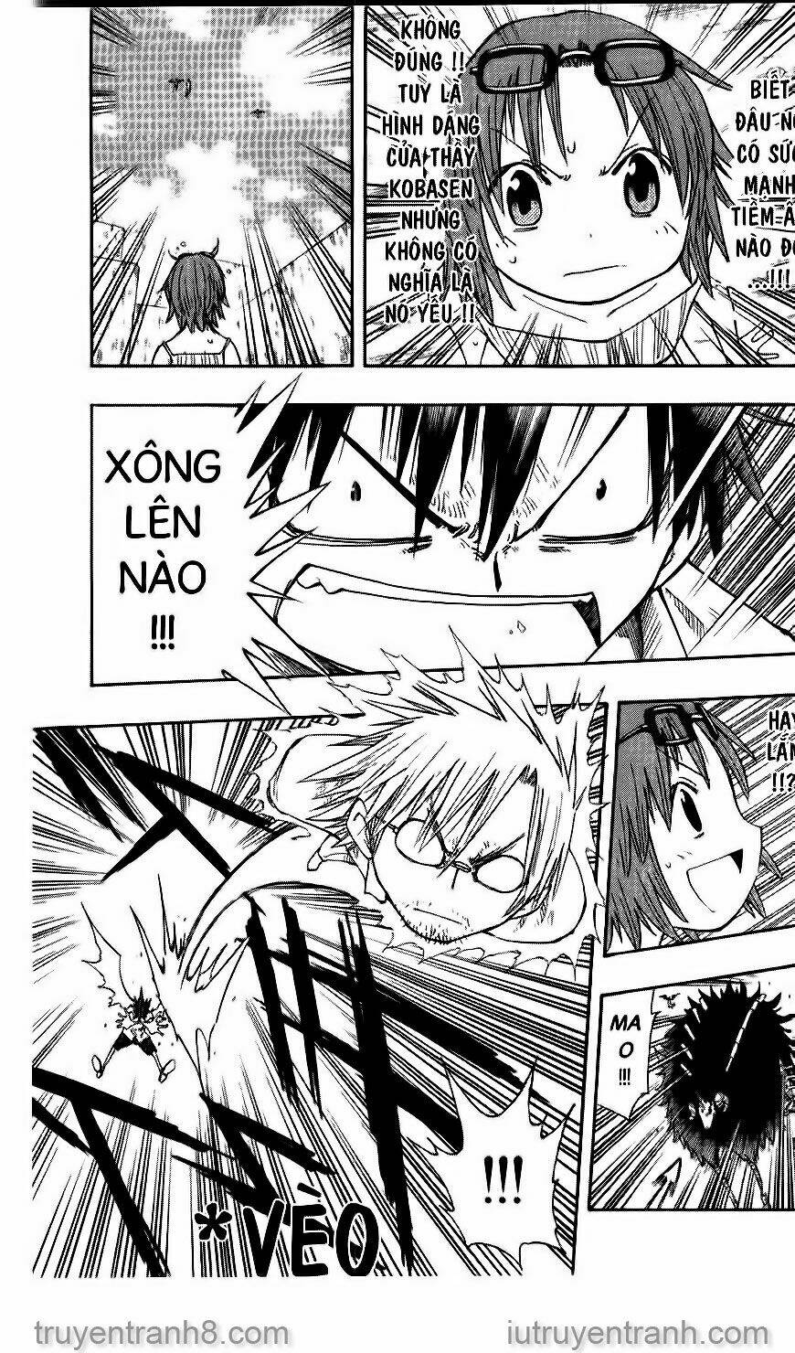 Law Of Ueki Chương 152 Ảnh 3