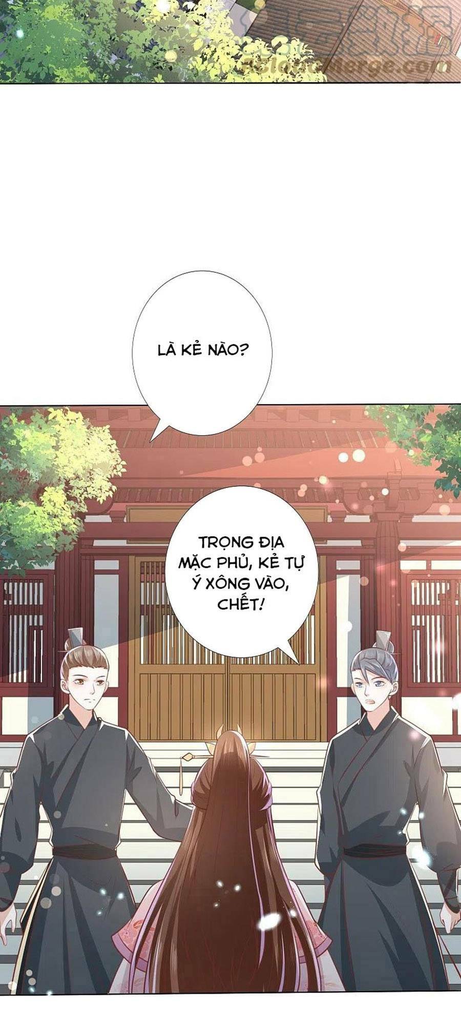 Phượng Hoàng Thác: Chuyên Sủng Khí Thê Chương 248 Ảnh 25