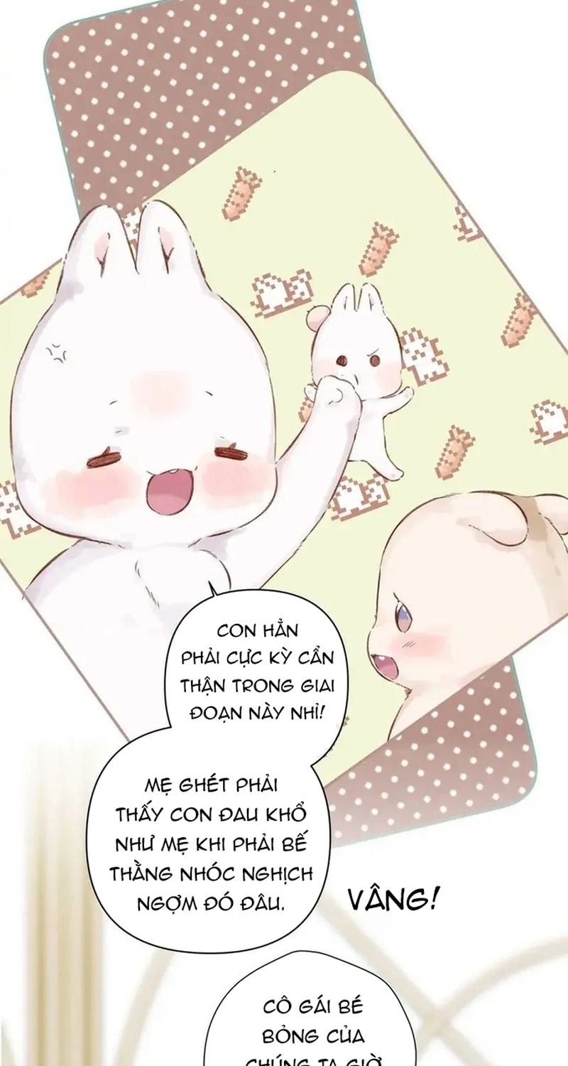 Bảo Vệ Siêu Sao Của Tôi Chương 143 Ảnh 7