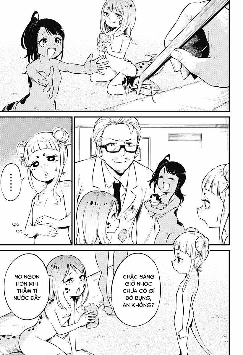 Hachuurui-Chan Wa Natsukanai Chương 6 Ảnh 6