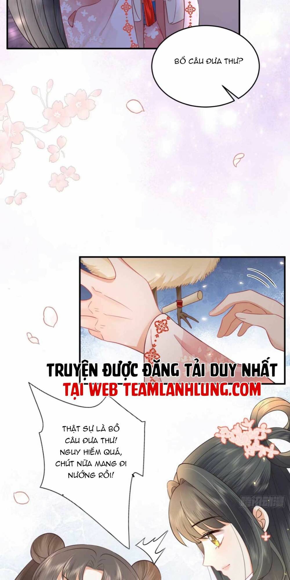 Trọng Sinh Trở Lại ! Ta Nhất Định Sẽ Bảo Vệ Nàng Chu Toàn ! Chương 10 Ảnh 52