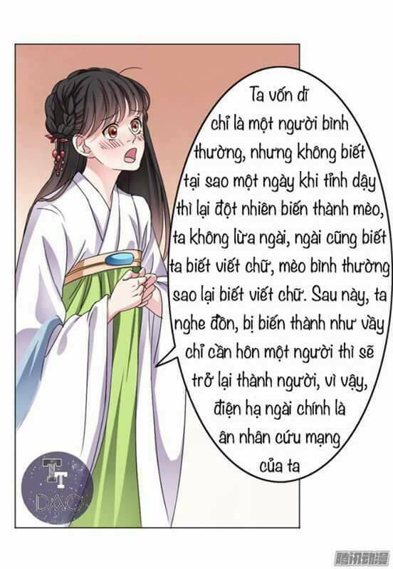 Hoàng Thái Tử, Xin Nhận Nuôi Em! Chương 5 Ảnh 7