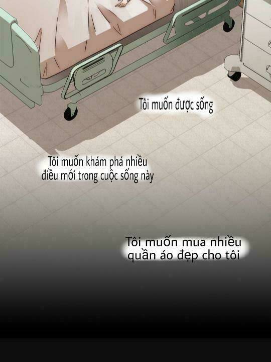 Xuyên Vào Tiểu Thuyết - Nữ Phụ Muốn Sống! Chương 1 Ảnh 4