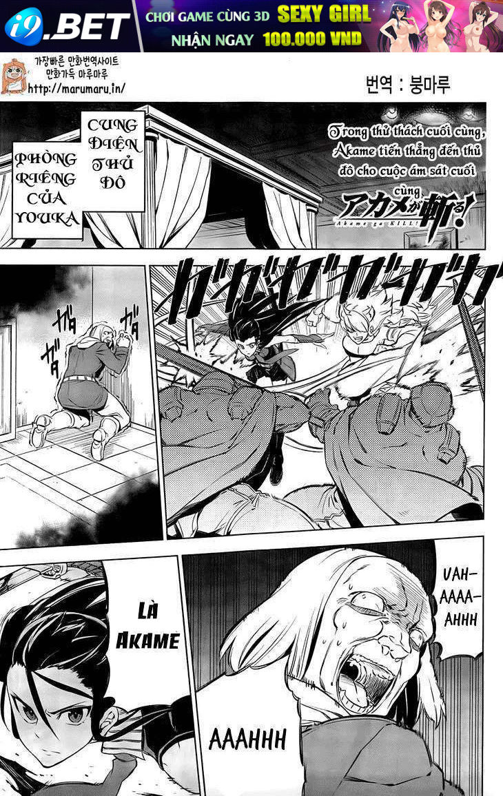 Akame Ga Kiru! Chương 69 Ảnh 4