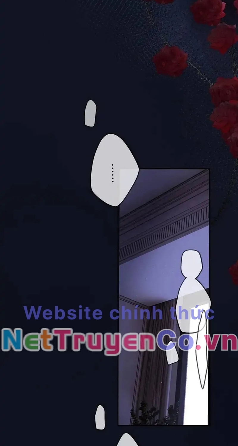 Bảo Vệ Siêu Sao Của Tôi Chương 145 Ảnh 20