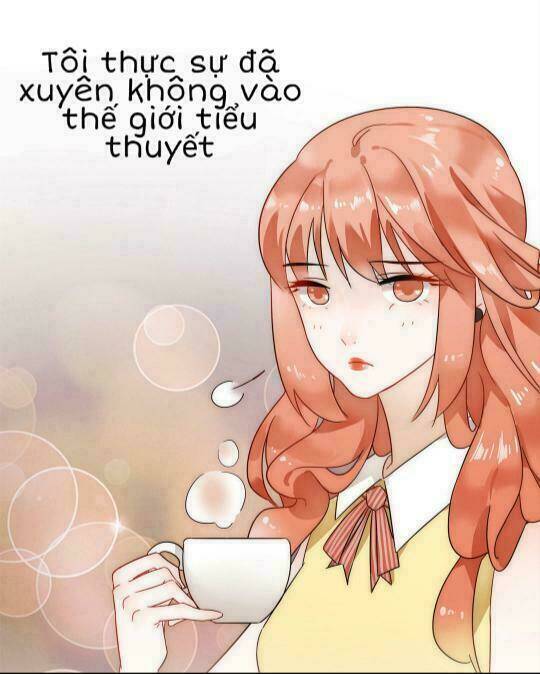 Xuyên Vào Tiểu Thuyết - Nữ Phụ Muốn Sống! Chương 1 Ảnh 16