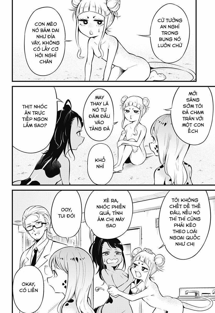 Hachuurui-Chan Wa Natsukanai Chương 6 Ảnh 5