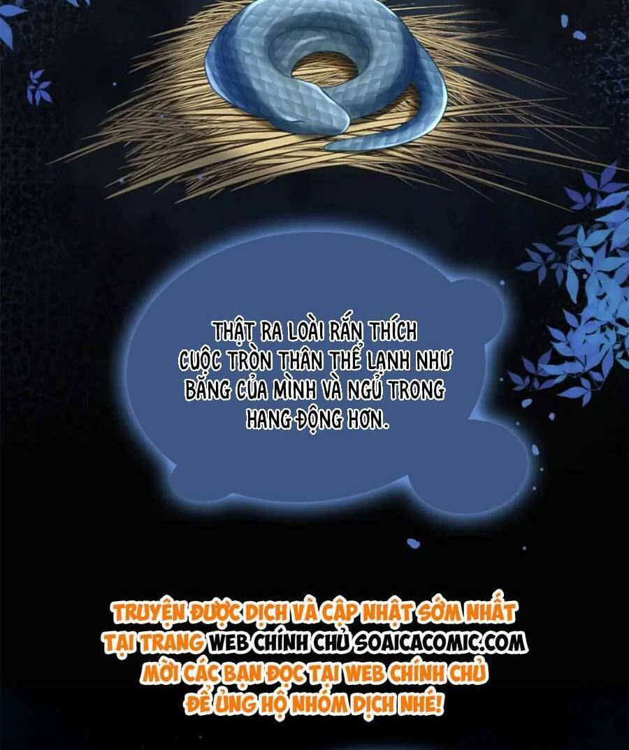 Xuyên Nhanh Nữ Phụ Bình Tĩnh Chút Chương 176 Ảnh 53
