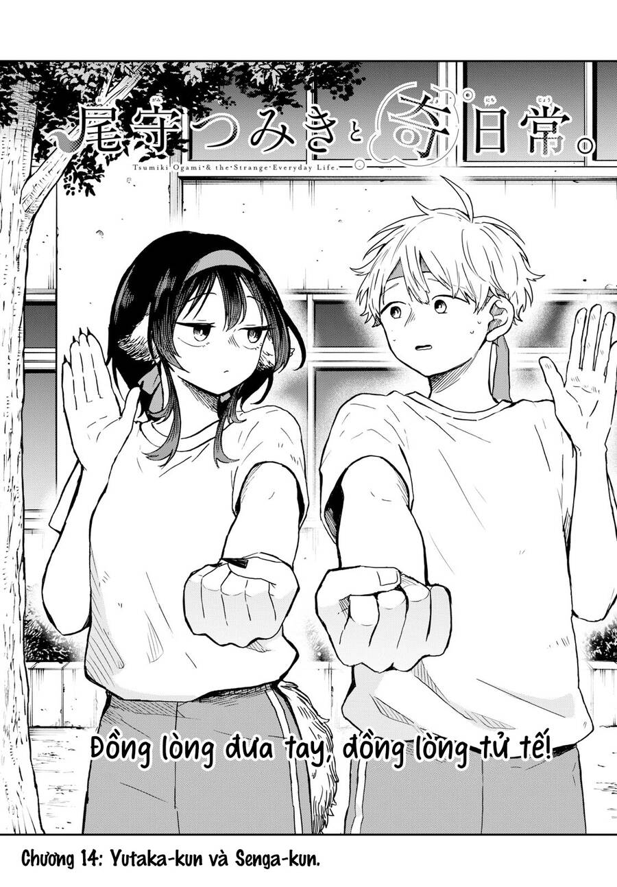 Tsumiki Ogami & The Strange Everyday Life. Chương 19 Ảnh 3