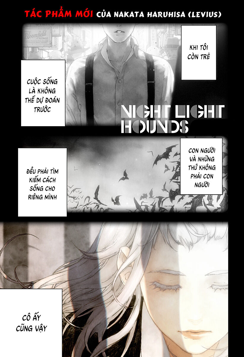 Night Light Hounds Chương 1 Ảnh 4