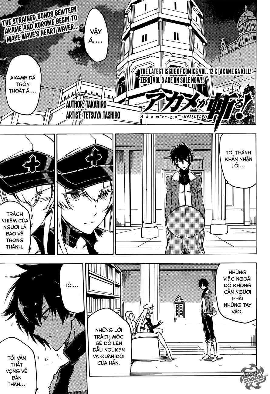 Akame Ga Kiru! Chương 63 Ảnh 4