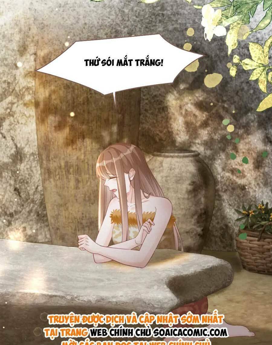 Xuyên Nhanh Nữ Phụ Bình Tĩnh Chút Chương 175 Ảnh 29