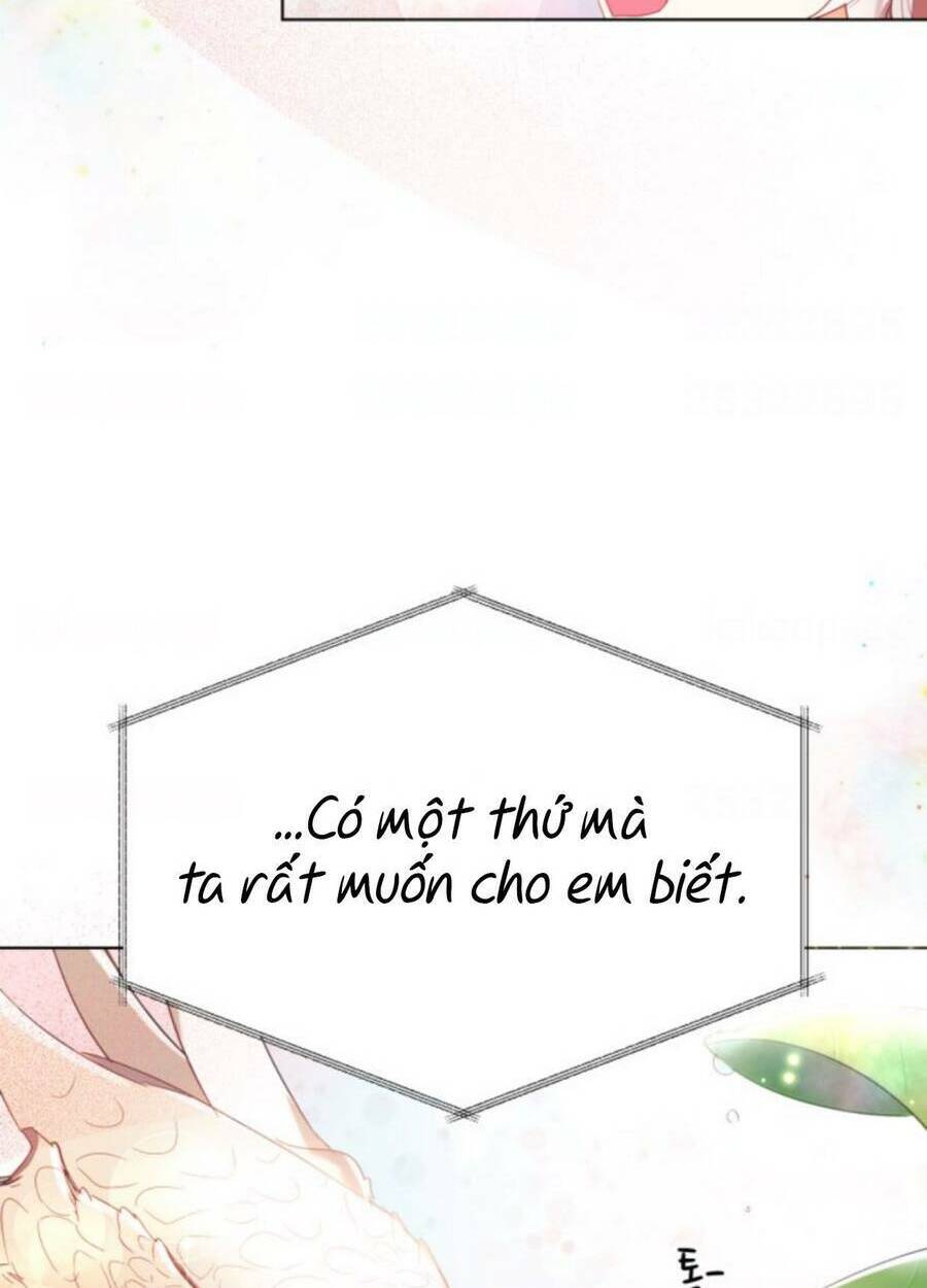 Baby Dragon Chương 10 Ảnh 69