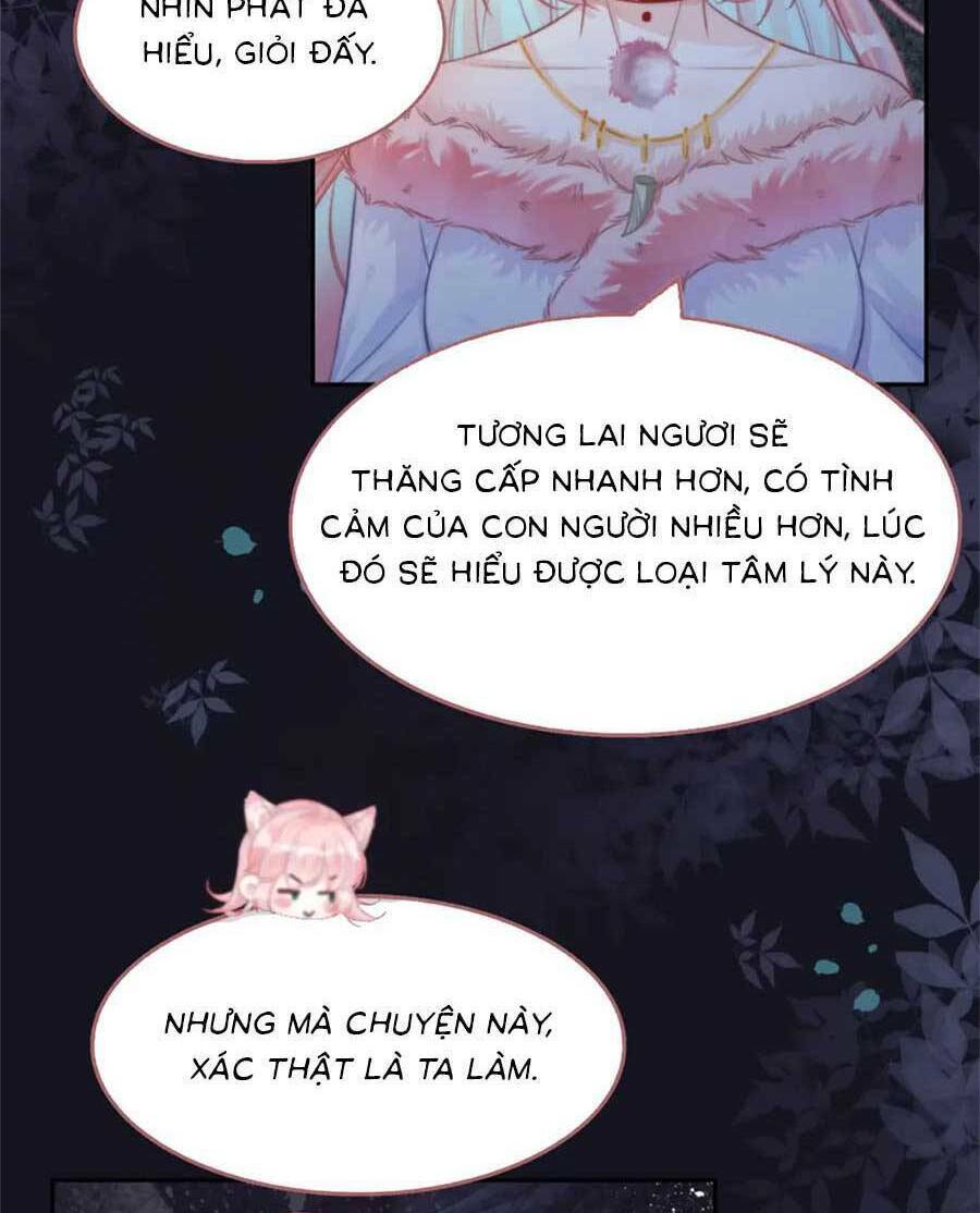 Xuyên Nhanh Nữ Phụ Bình Tĩnh Chút Chương 166 Ảnh 40