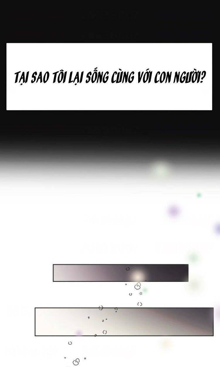Baby Dragon Chương 11 Ảnh 17