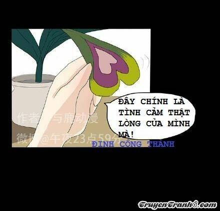 Hạt Giống Tình Yêu Chương 3 Ảnh 15