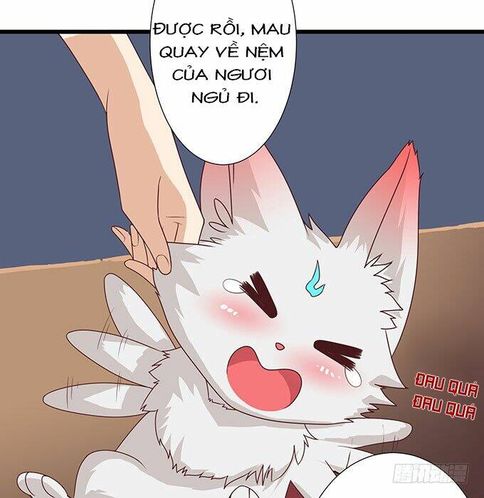 Đát Kỷ Bất Thị Họa Hồ Ly Chương 3 Ảnh 19
