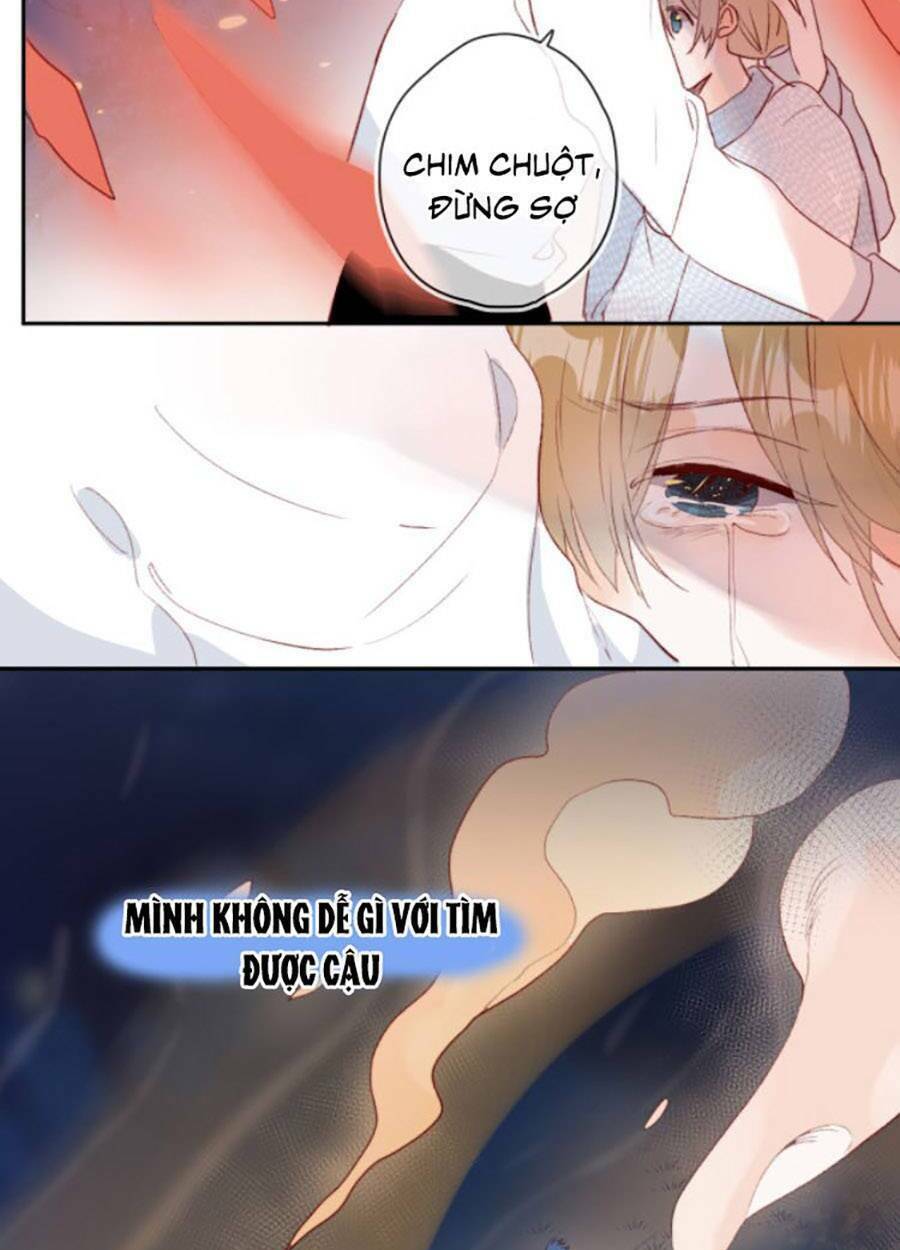 Hoa Dữ Ẩn Nặc Chi Ô Chương 143 Ảnh 12