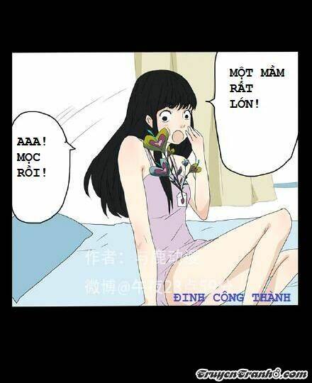 Hạt Giống Tình Yêu Chương 3 Ảnh 12