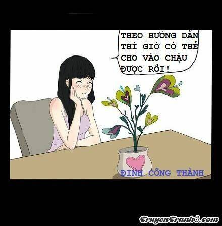 Hạt Giống Tình Yêu Chương 3 Ảnh 13