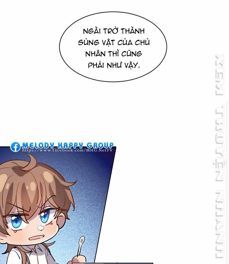 Lang Quân, Xin Đừng...! Chương 69 Ảnh 17