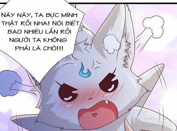 Đát Kỷ Bất Thị Họa Hồ Ly Chương 3 Ảnh 17