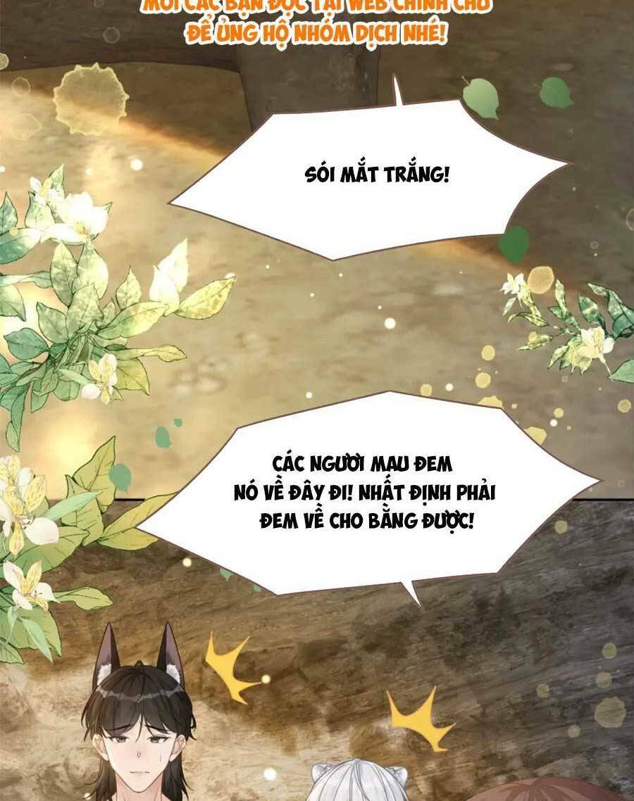 Xuyên Nhanh Nữ Phụ Bình Tĩnh Chút Chương 175 Ảnh 30