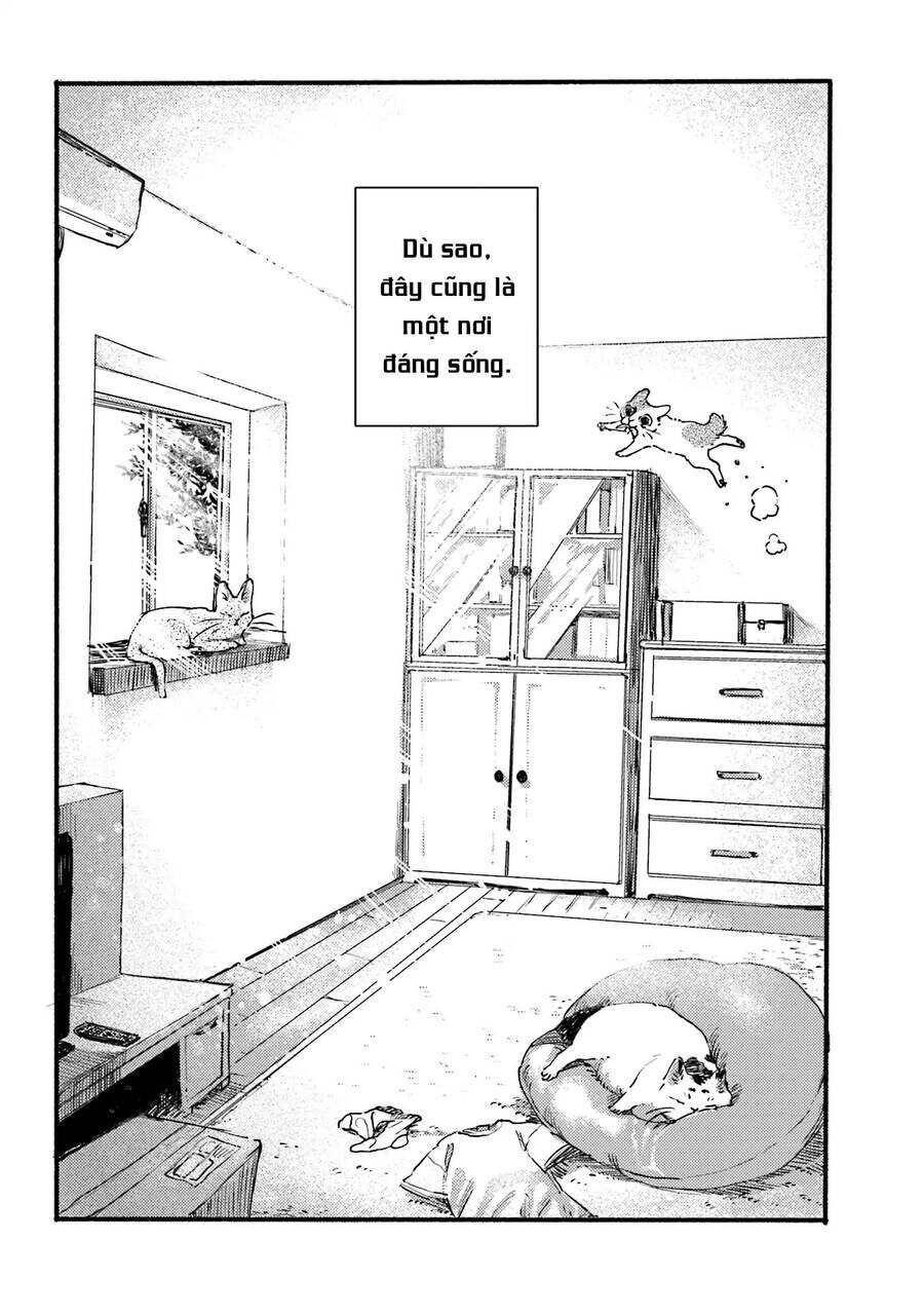 Nekodamari Chương 2 Ảnh 6