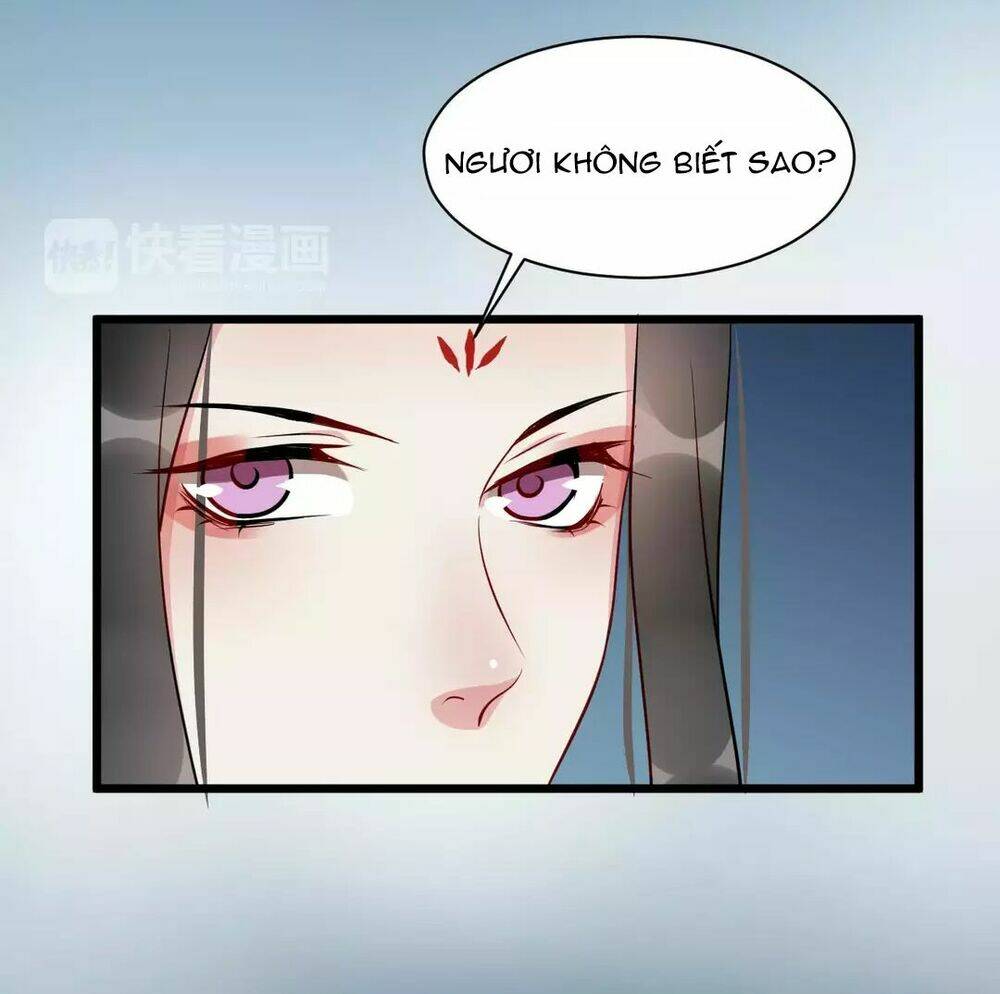 Bồng Sơn Viễn Chương 44 Ảnh 14