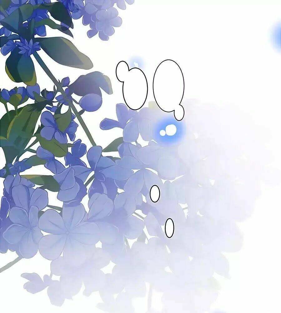 Thịnh Thế Lê Hoa Điện Chương 96 Ảnh 60