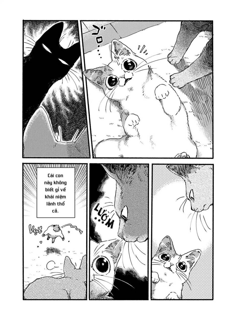 Nekodamari Chương 3 Ảnh 4