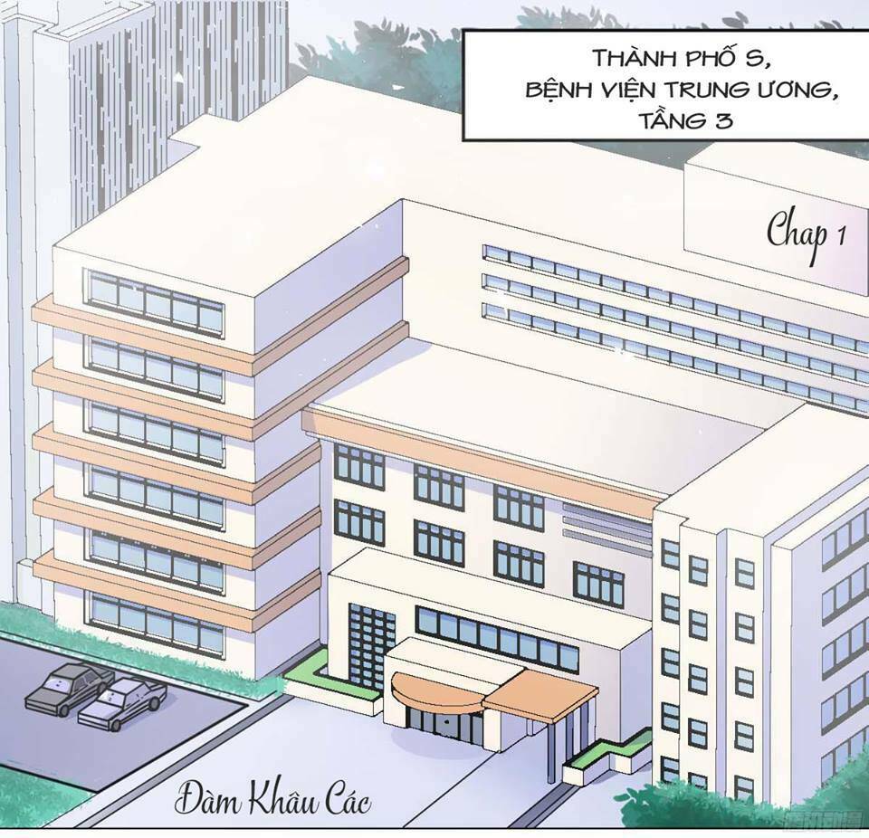 Tân Nương Xinh Đẹp Của Tổng Tài Chương 1.1 Ảnh 4