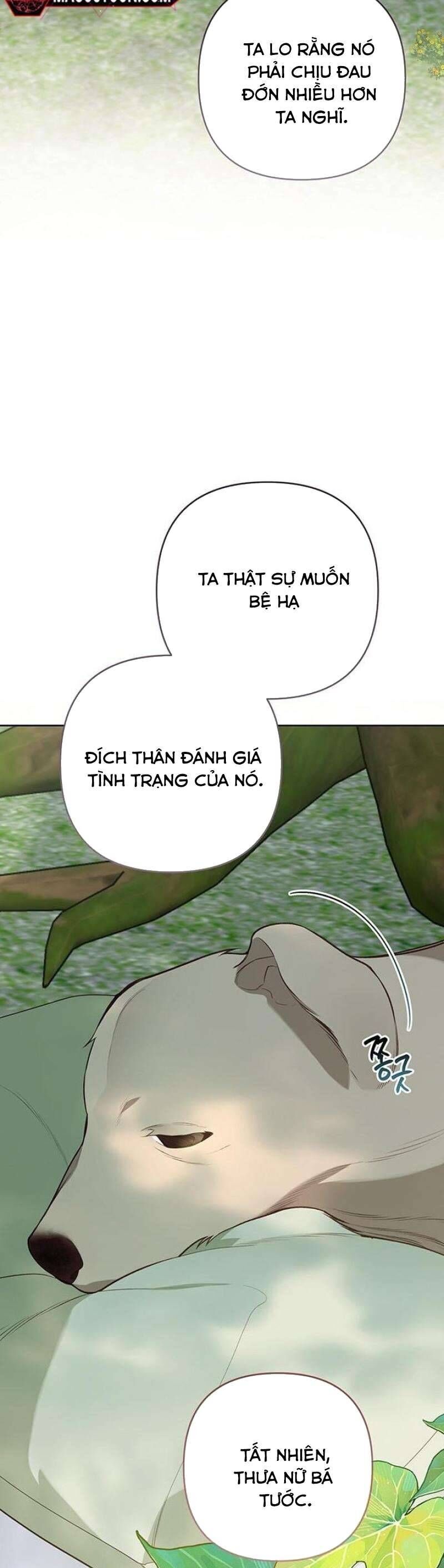 Bạo Chúa Bé Con Chương 94 Ảnh 18