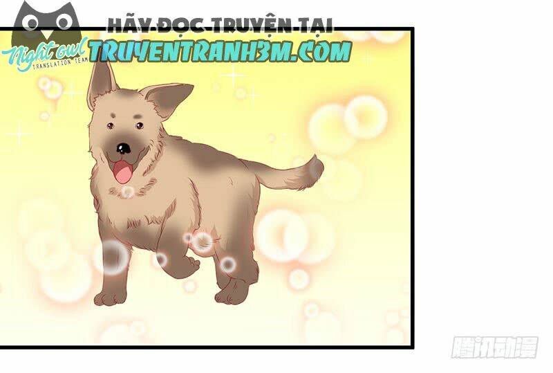 Trên Gối Của Chủ Tịch Ác Ma Chương 15 Ảnh 8