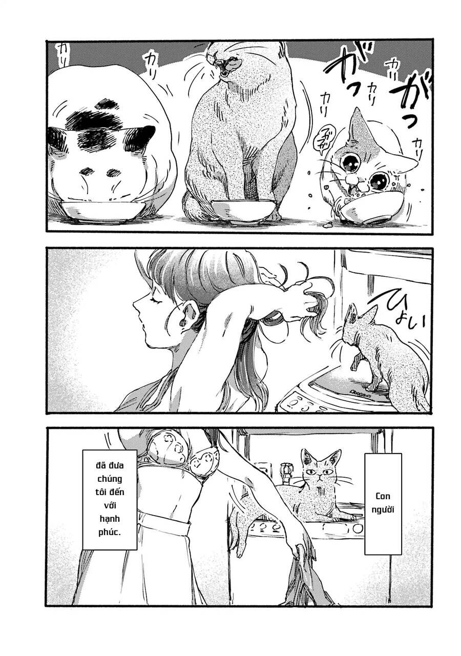 Nekodamari Chương 2 Ảnh 9