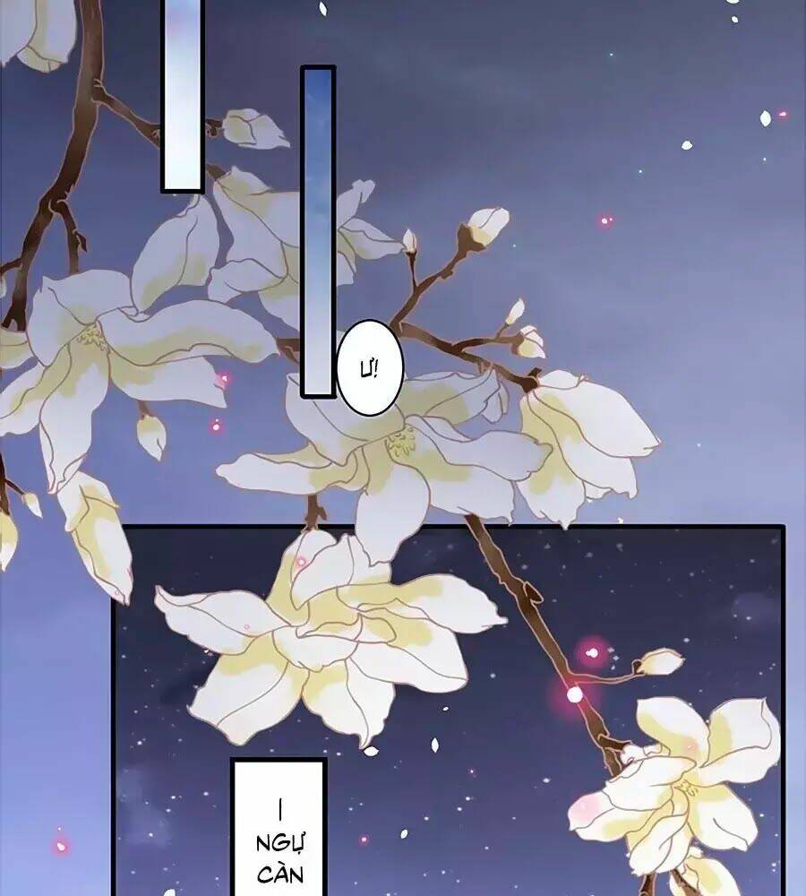 Thịnh Thế Lê Hoa Điện Chương 96 Ảnh 48
