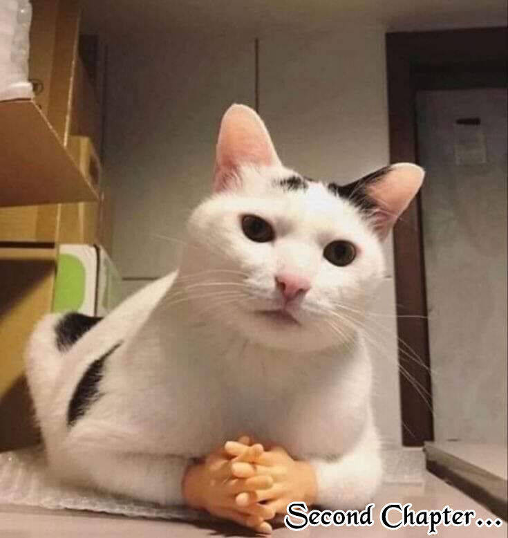 Shinju No Nectar Chương 84 Ảnh 2