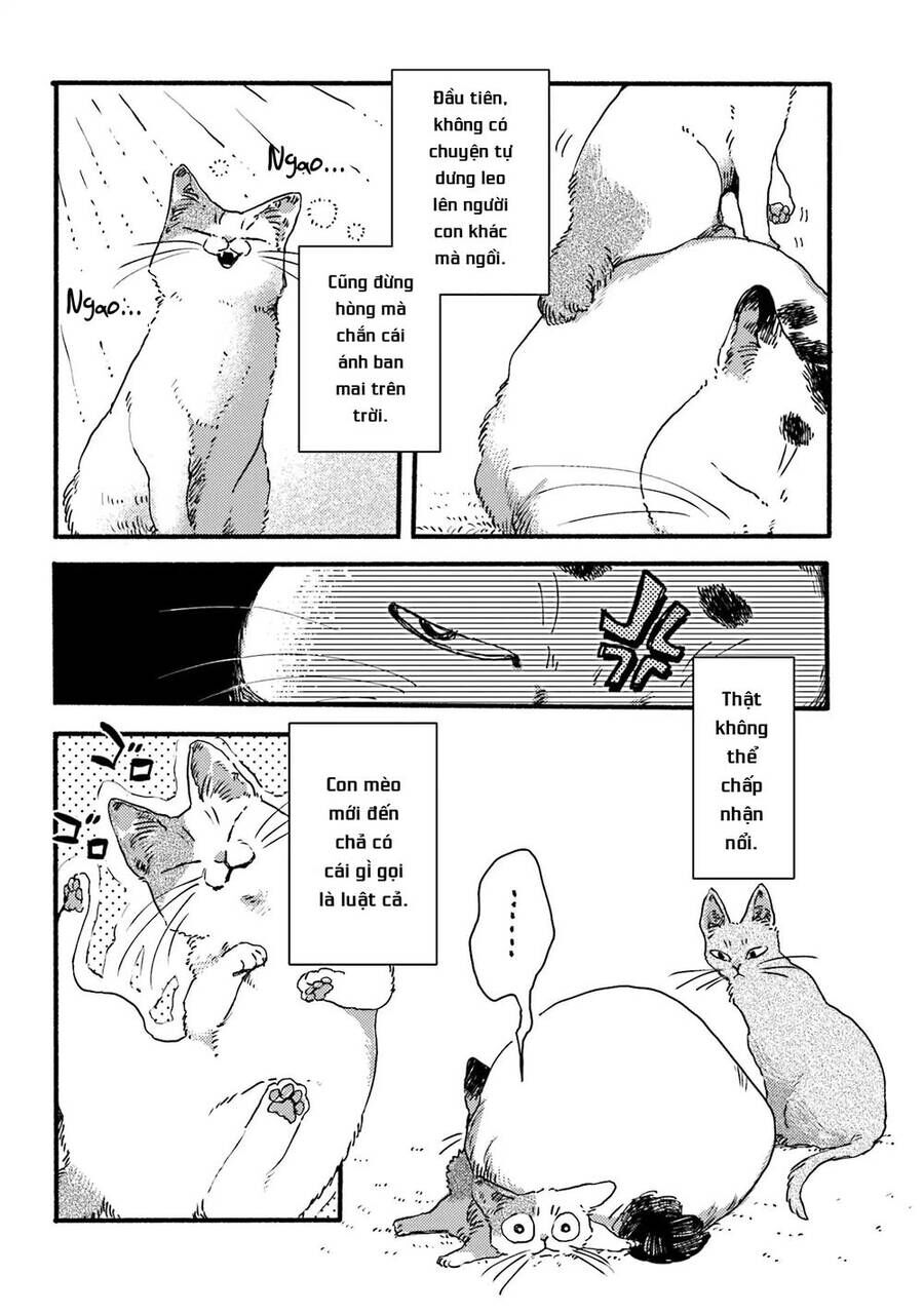 Nekodamari Chương 3 Ảnh 3