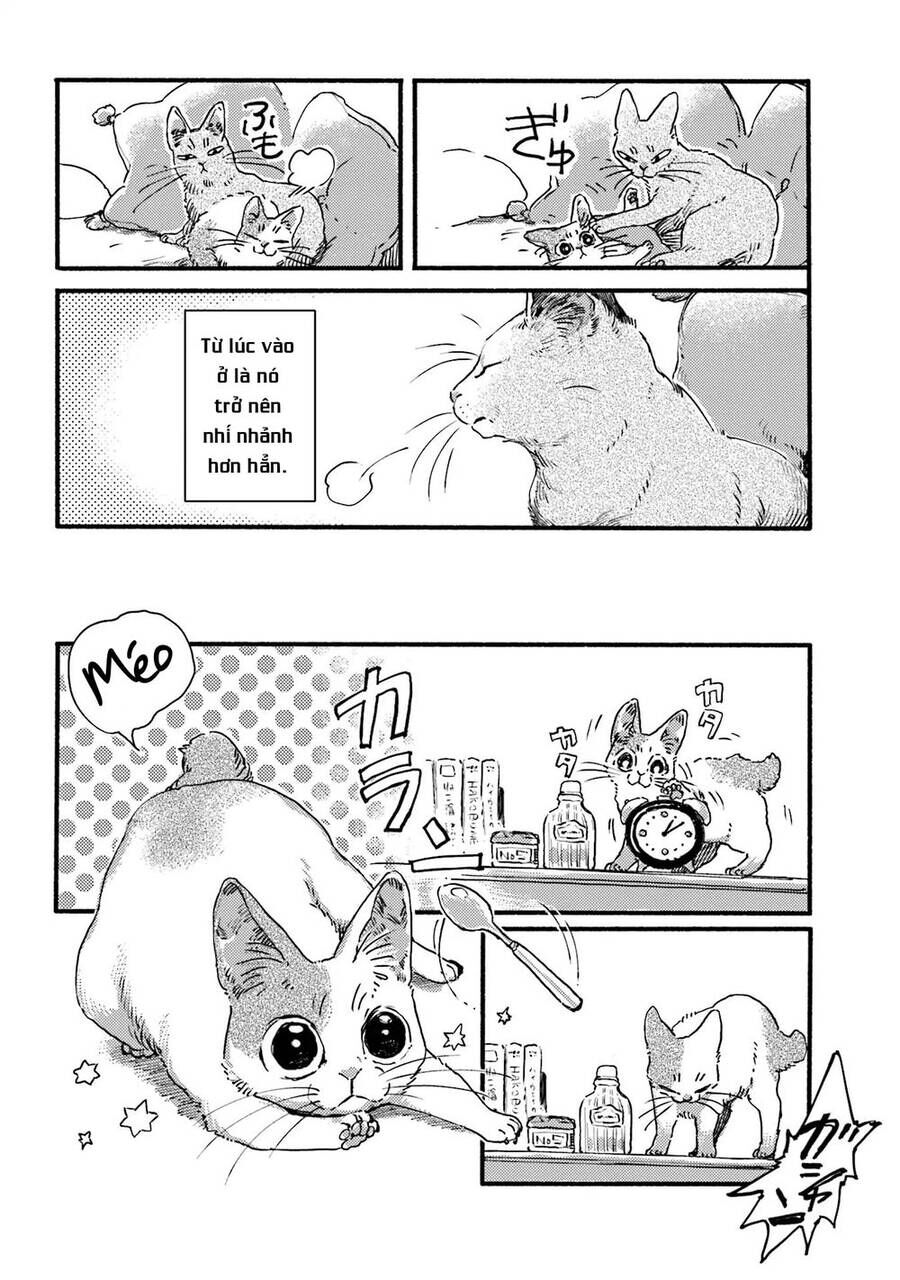 Nekodamari Chương 3 Ảnh 7