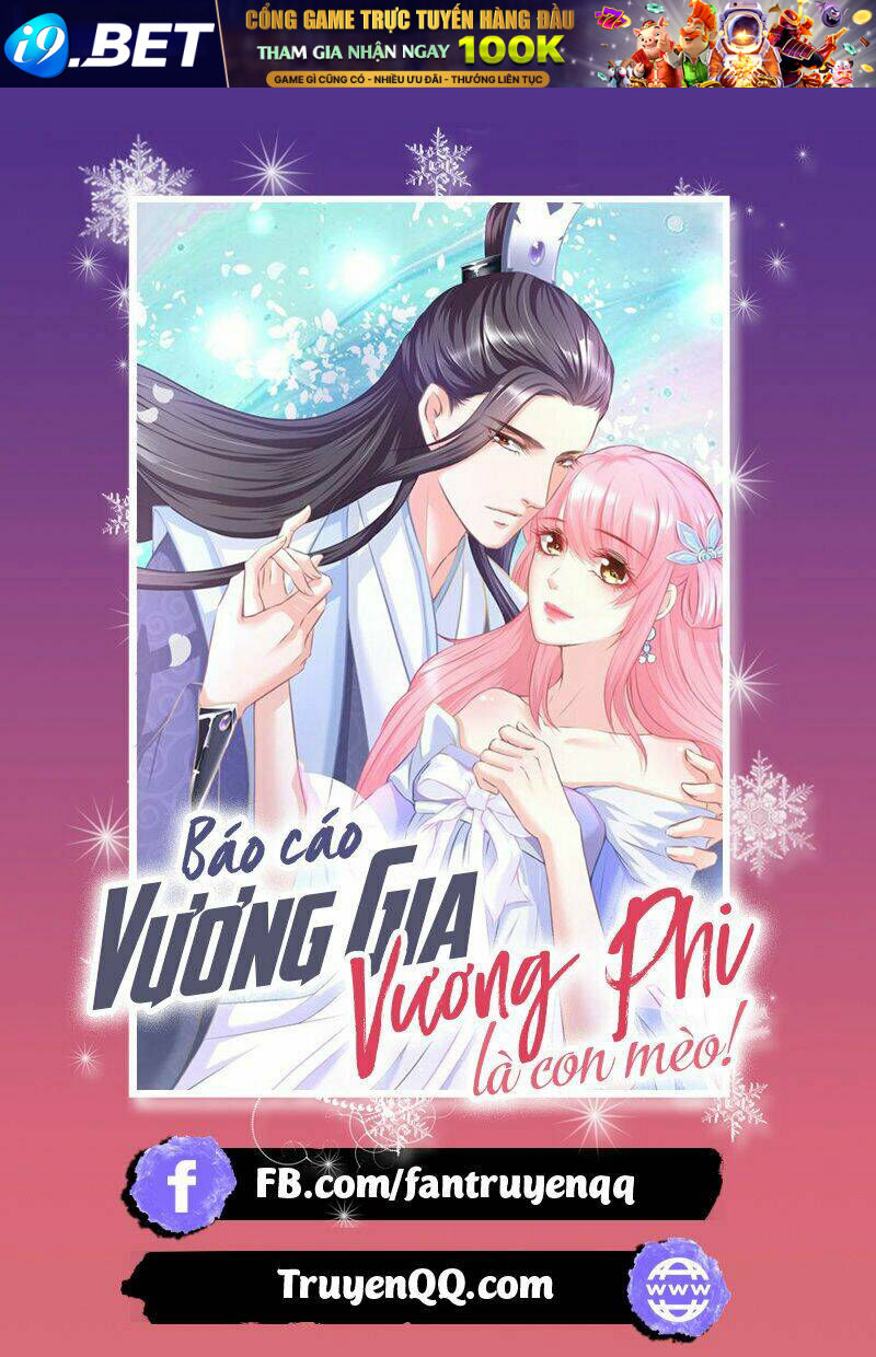 Báo Cáo Vương Gia, Vương Phi Là Một Con Mèo Chương 2 Ảnh 2
