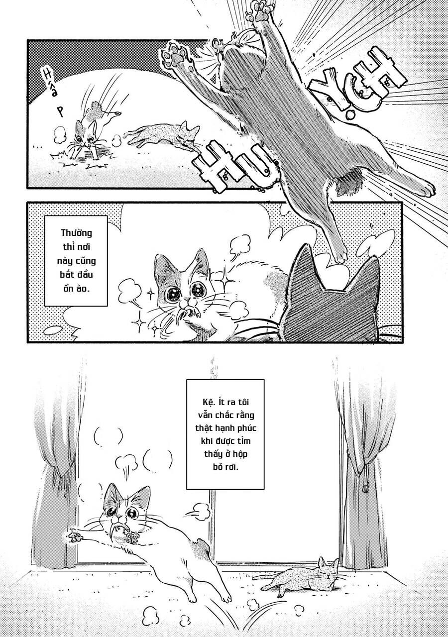 Nekodamari Chương 2 Ảnh 4