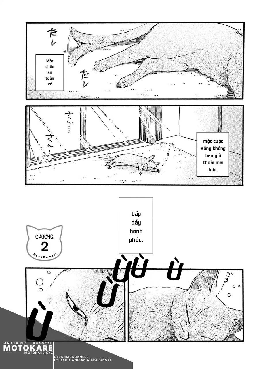 Nekodamari Chương 2 Ảnh 3
