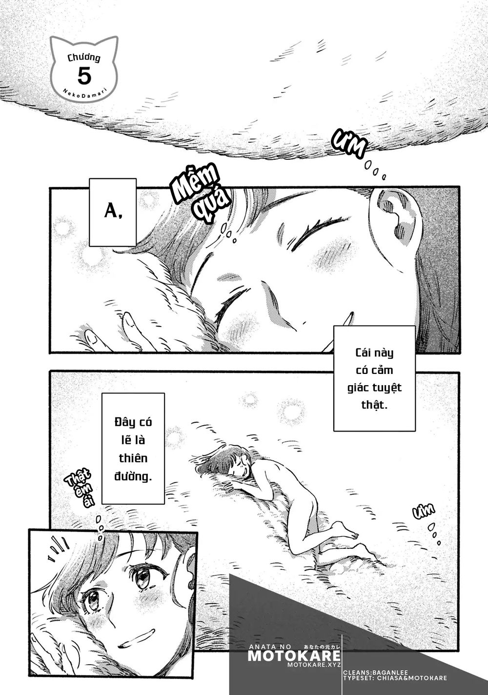 Nekodamari Chương 5 Ảnh 2