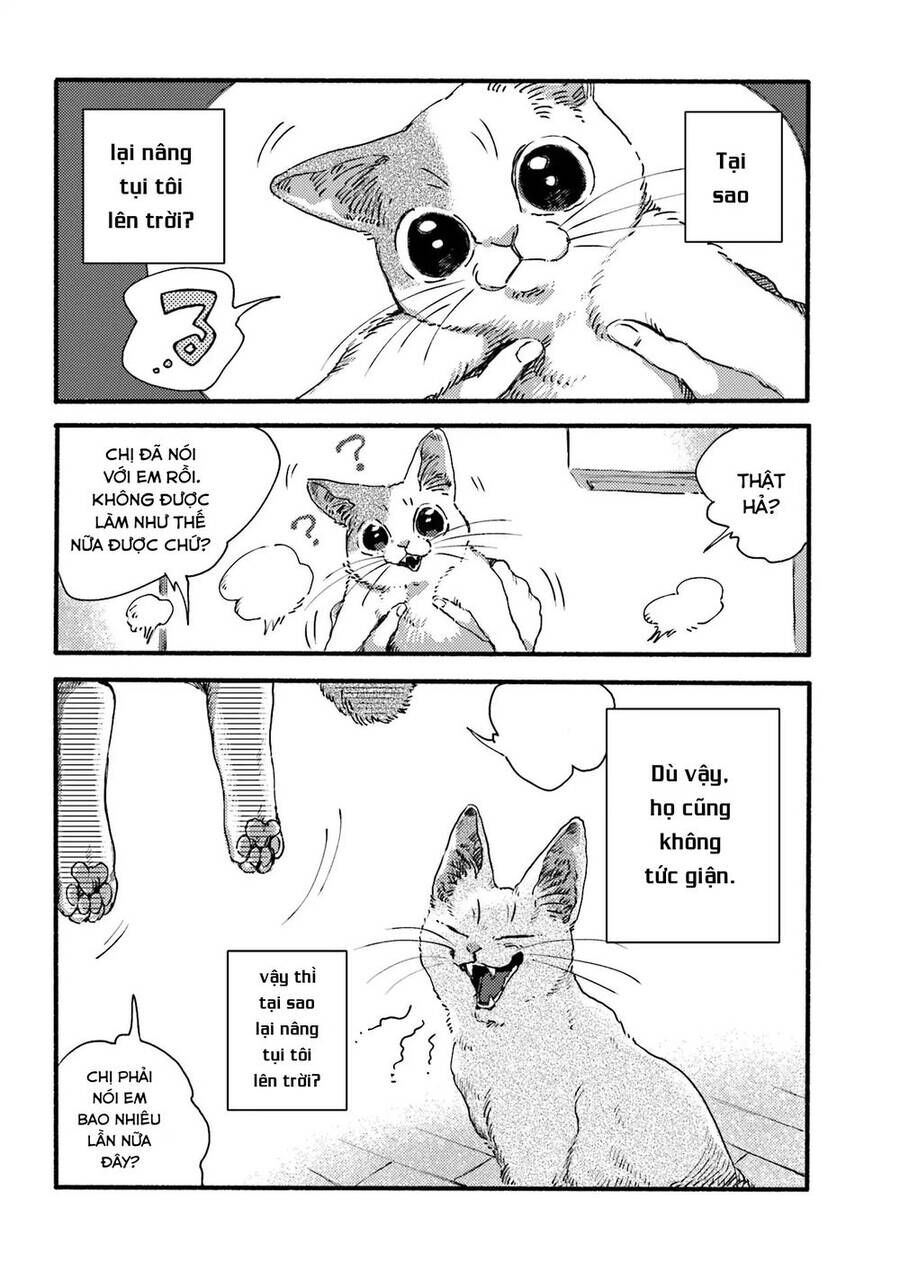 Nekodamari Chương 3 Ảnh 9