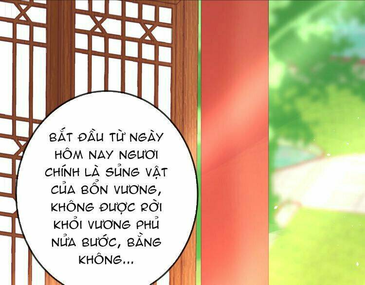 Báo Cáo Vương Gia, Vương Phi Là Một Con Mèo Chương 2 Ảnh 64