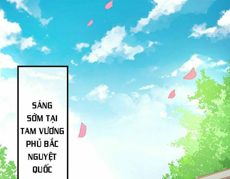 Báo Cáo Vương Gia, Vương Phi Là Một Con Mèo Chương 2 Ảnh 4