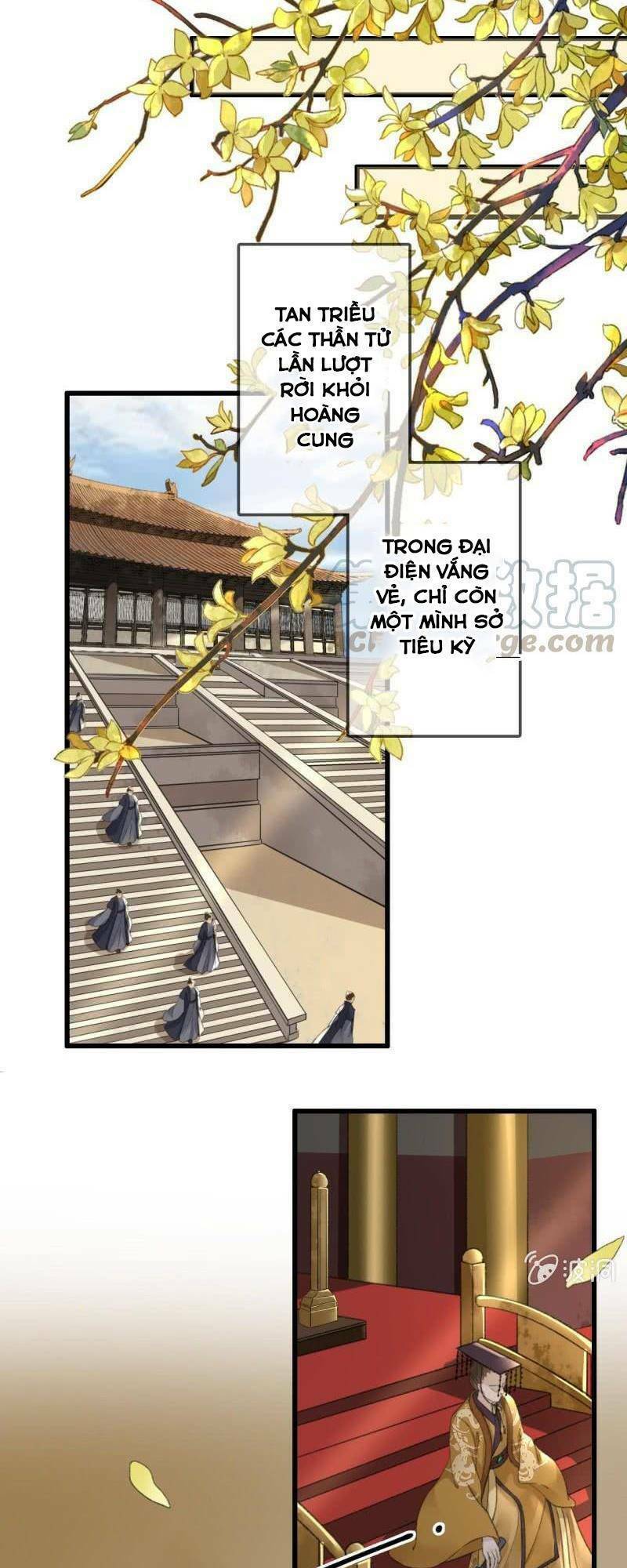 Sủng Phi Của Vương Chương 183 Ảnh 5