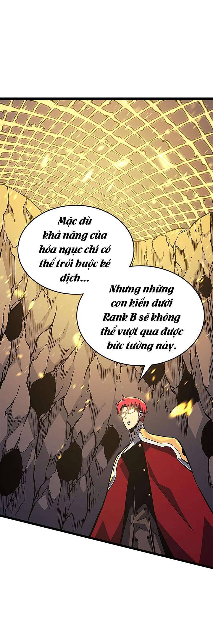 Tôi Thăng Cấp Một Mình Chương 96 Ảnh 16